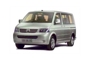 Пороги Volkswagen Multivan T5 (2003-2009)